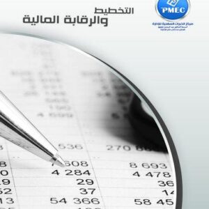 التخطيط والرقابة المالية